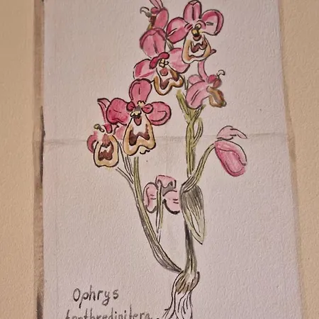 La Casa De Chimeneas Appartement Tudes