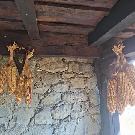 Apartamento La Casa De Chimeneas Tudes